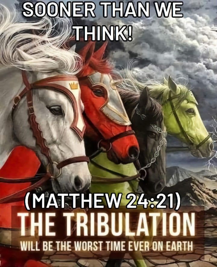 About 12 download 15